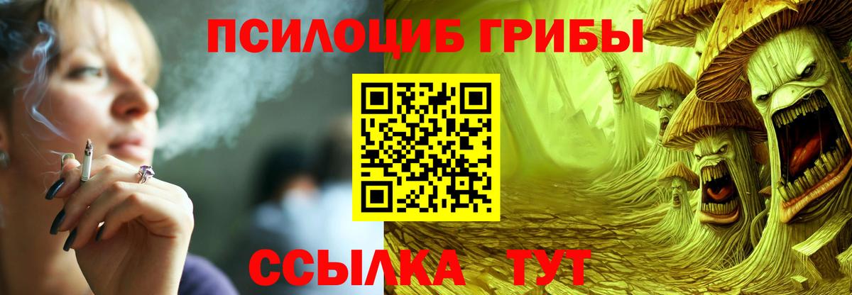 Псилоцибиновые грибы GOLDEN TEACHER  Псилоцибиновые грибы MAGIC MUSHROOMS  Благодарный  Вход с VPN 